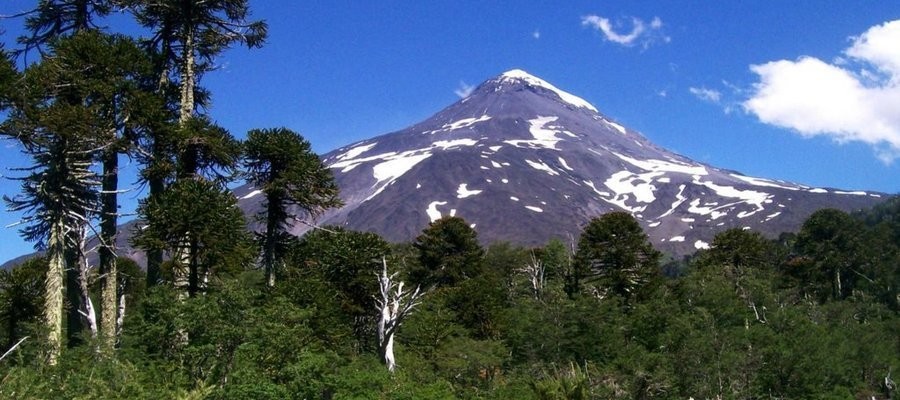 XCM PUCON