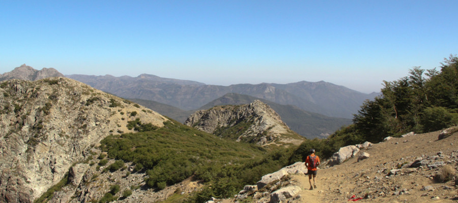 Trail Running Codegua 2017
